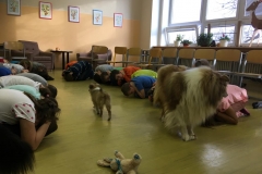 canis6