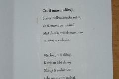 denm5