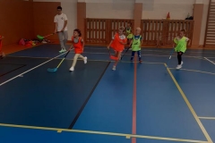 akce1st11
