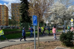 dubedruzi46