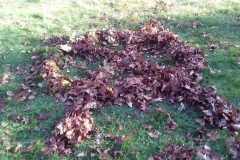 landart6