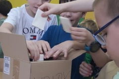 druzilede15