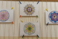 druzilede4