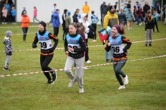 orientak24