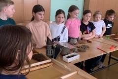 vcelkyavcelky39