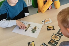 vcelkyavcelky45