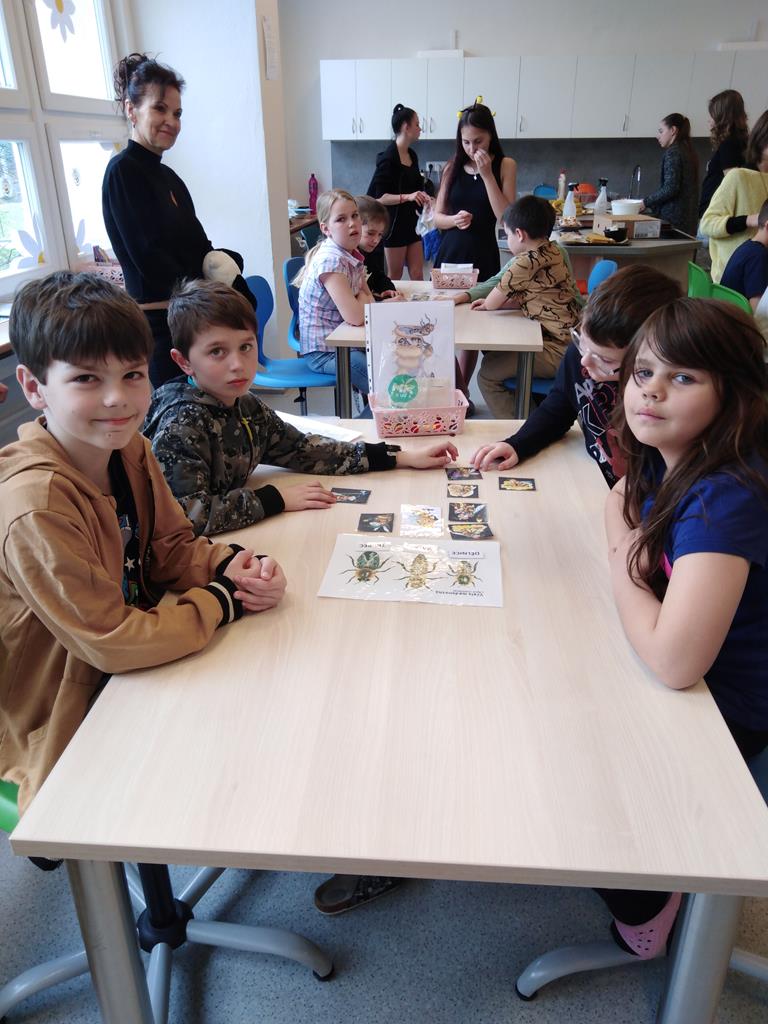 vcelkyavcelky22