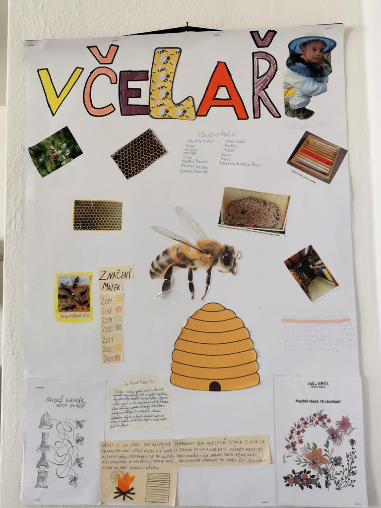 vcelkyavcelky42