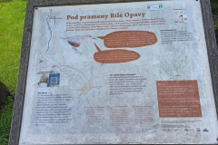 bilaopava1
