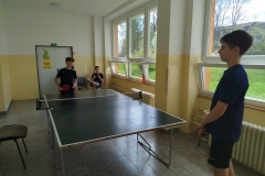 stolnitenis4